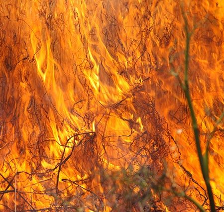 10 SURPRISING THINGS YOU DIDN'T KNOW ABOUT FIRE | SKYSAVER RESCUE BACKPACKS