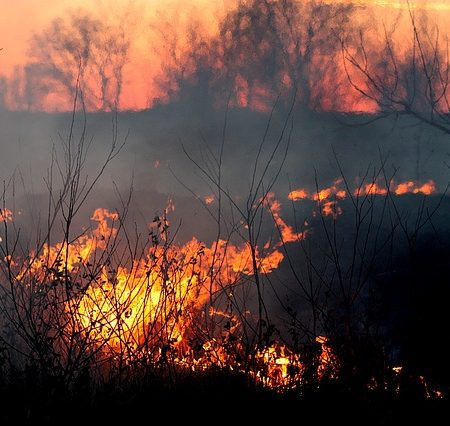 5 MUST-HAVE DISASTER APPS | SKYSAVER RESCUE BACKPACKS