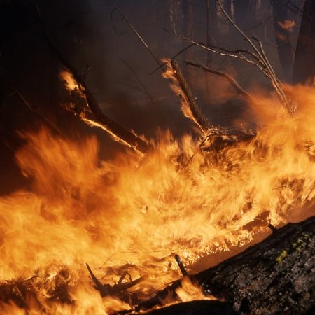 THE WORLD'S WORST WILDFIRES | SKYSAVER RESCUE BACKPACKS